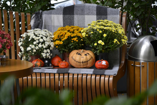 Quand l’ombre devient souffle : célébrer Samhain à travers le yoga