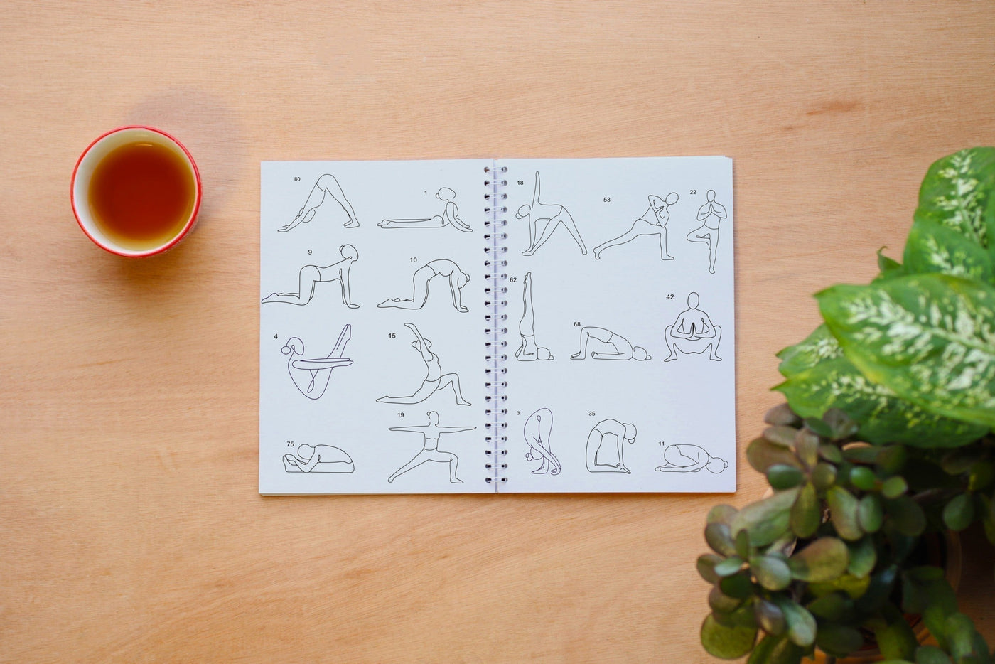 Les bases d’une routine yoga efficace : postures clés à connaître