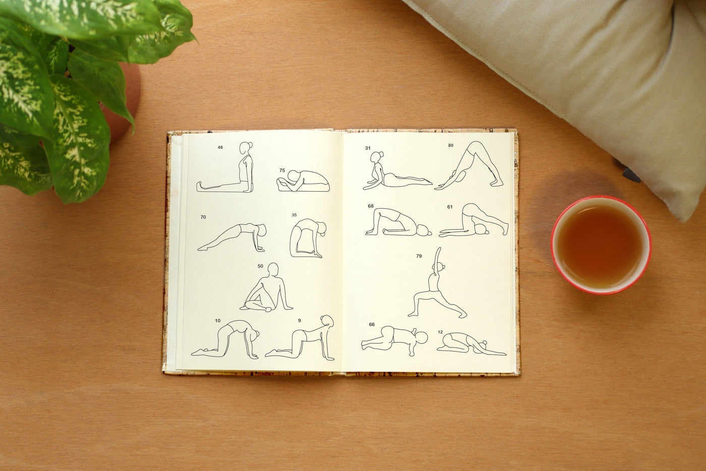 Routine yoga spéciale dos : soulager, renforcer, aligner