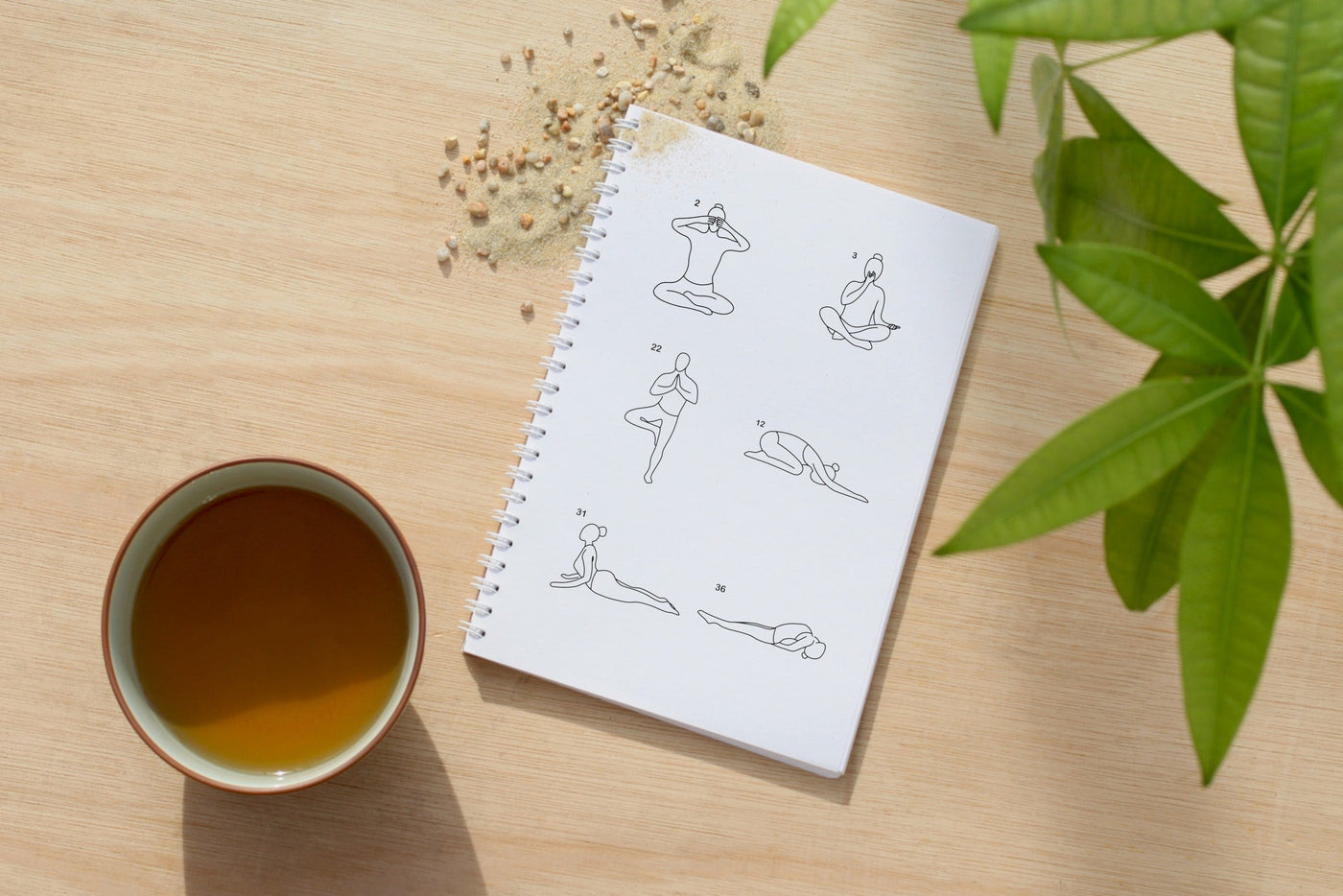 Routine yoga senior : une pratique douce pour un bien-être global