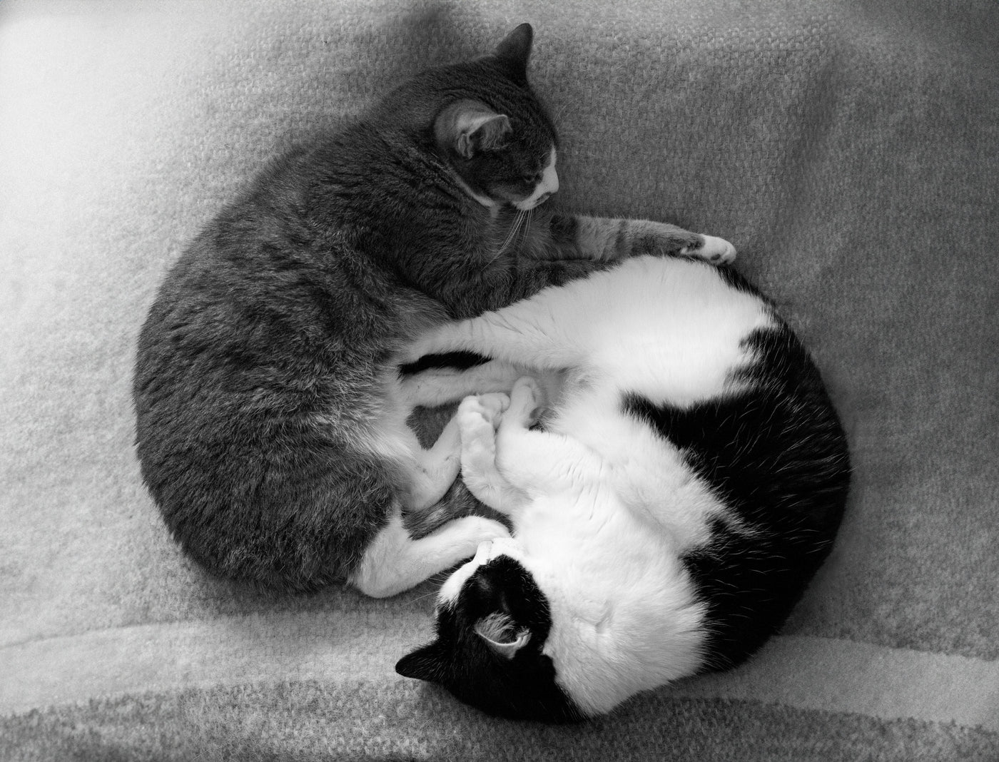 Comprendre le yoga yin yang pour équilibre et harmonie
